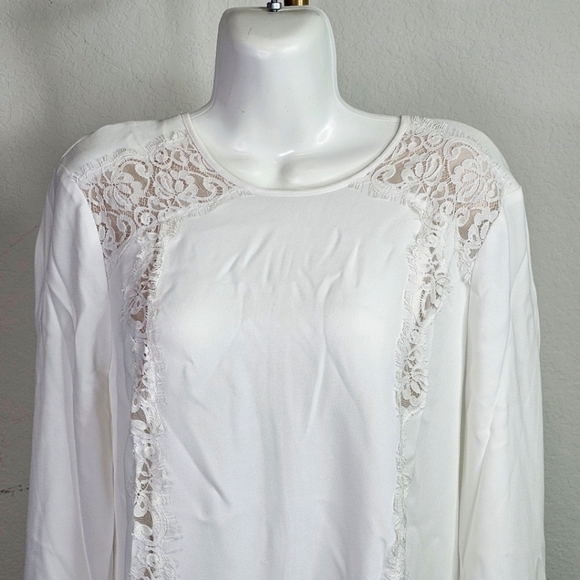 🎉Host Pick 🎉 BCBGMAXAZRIA Jayn Lace-Trim Dress - Picture 3 of 7